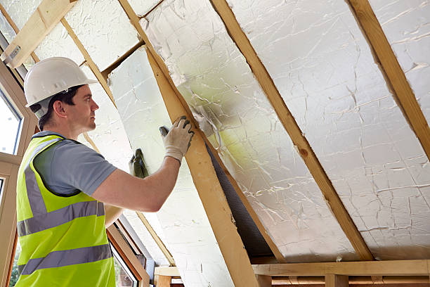 Best Commercial Insulation in Shenandoah, IA