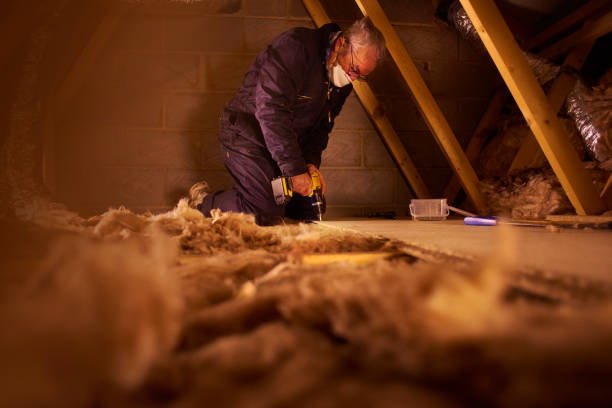 Best Types of Insulation in Shenandoah, IA